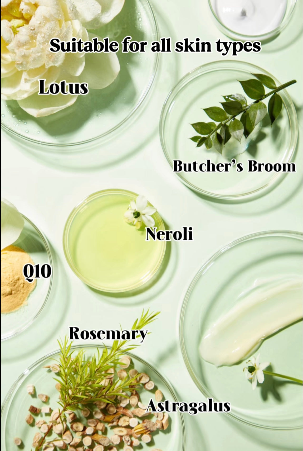 28 blister packs(4-boxes value set)